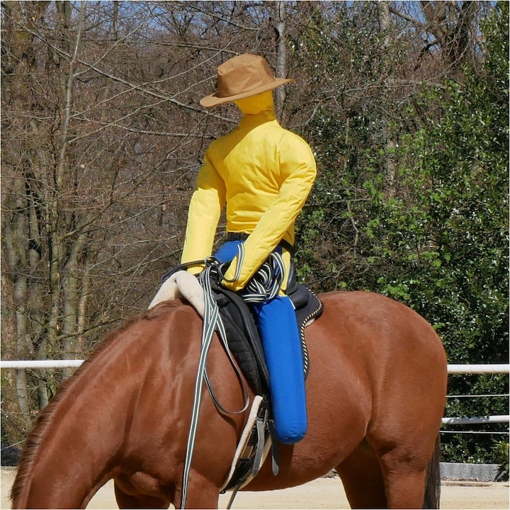 Actual product image Dönges Horse riding dummy Pferdinand