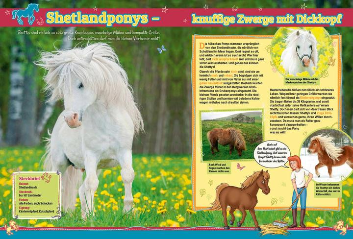 Produktbild Panini Bibi & Tina: Pferdewissen mit Bibi & Tina (Deutsch, Marisa Reinelt, 2024)