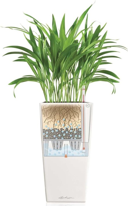 Actual product image Lechuza Cubico 30 (29.50 cm)