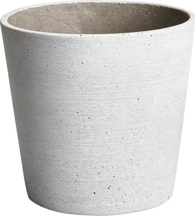 pfister Greg (16 cm)