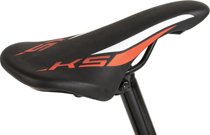 Actual product image Wyld Mountainbike Hardtail 29" Sharp Scheibenbremse platin-grau 21 Gänge (46 cm)