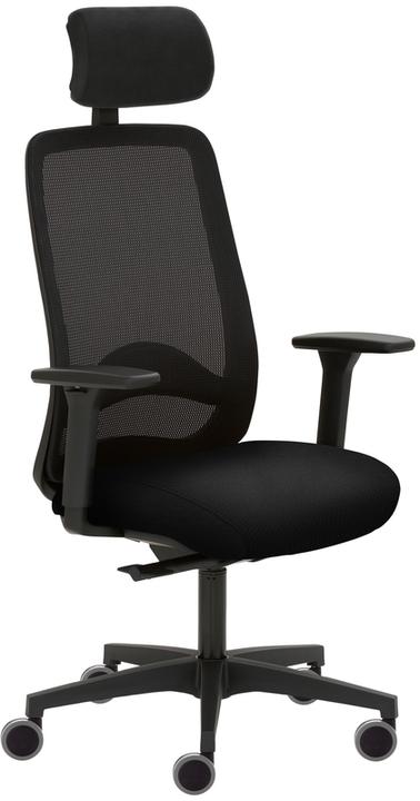 Image du produit Avita (48 - 59 cm)