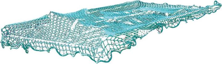 Actual product image ProPlus Anhängernetz mit Gummiseil