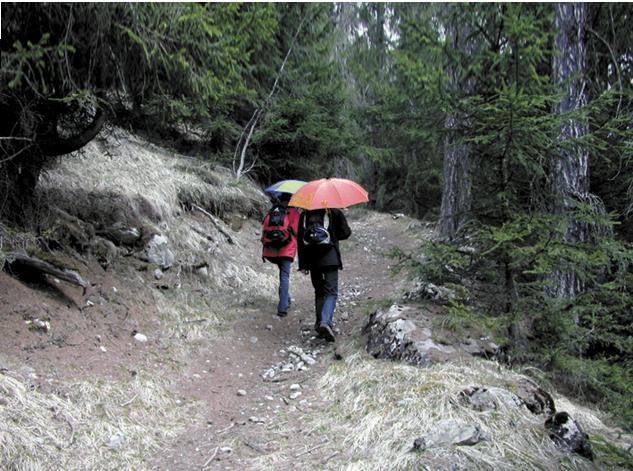 Image du produit Euroschirm light trek automatique