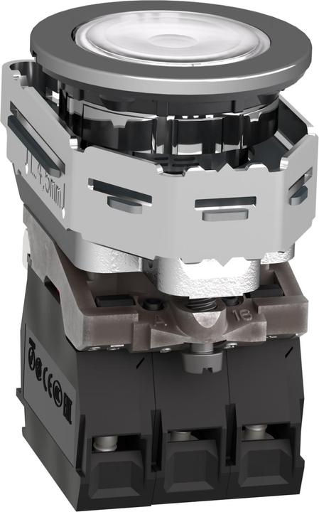Actual product image Schneider Electric Illuminated pushbutton Harmony XB4F, 30mm, XB4FW31B5