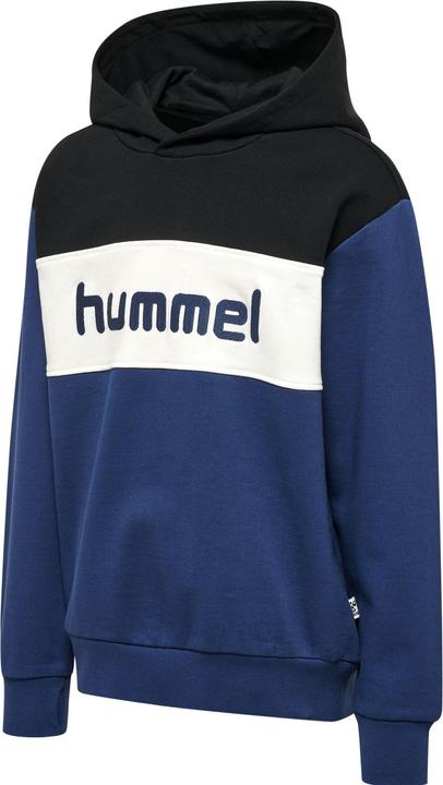 Immagine prodotto hummel Felpa Con Cappuccio Hmlmorten (122)