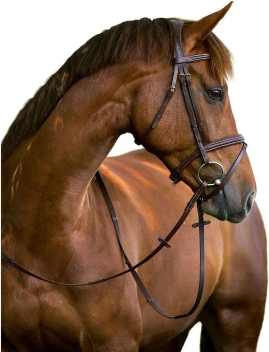 Actual product image Kerbl Classic