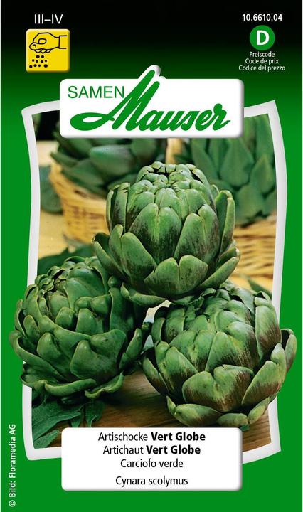 Produktbild Samen Mauser Artischocke Vert Globe (Gemüsesamen)