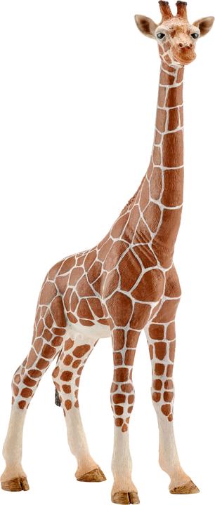 Schleich Girafe femelle