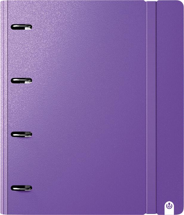 Produktbild Carchivo Ringbuch mit Inhalt Carpeblock 360 (A4, 40 mm)