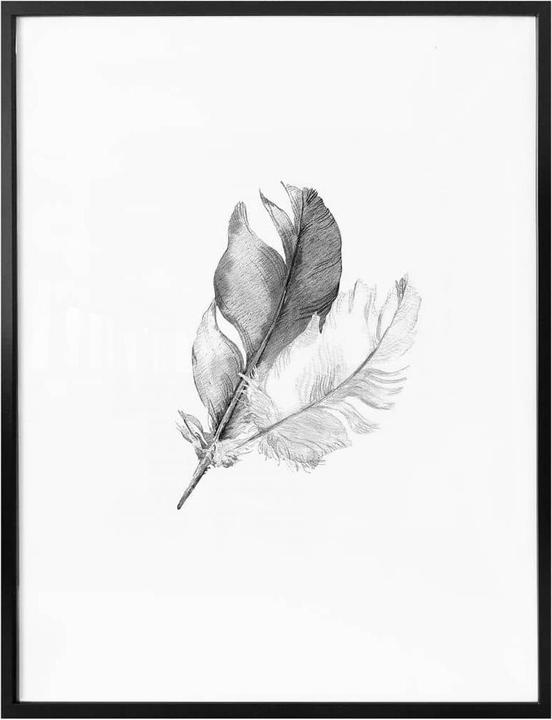 Image du produit Trenddeko plumes (40 x 50 cm)