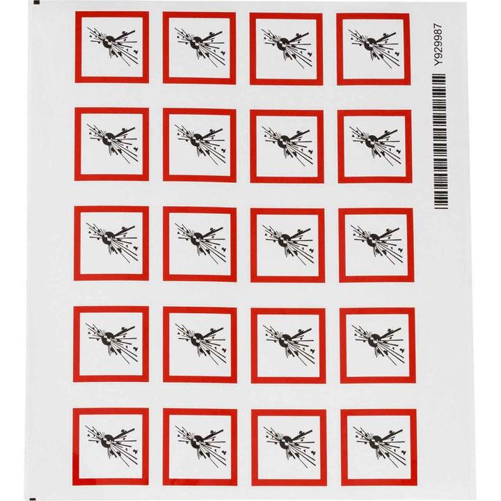 Image du produit Brady Pictogrammes SGH - Explosif