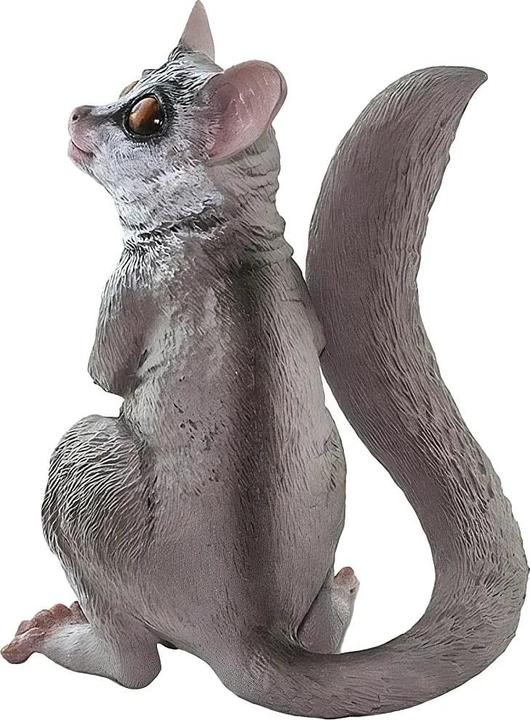 Image du produit Safari Galago