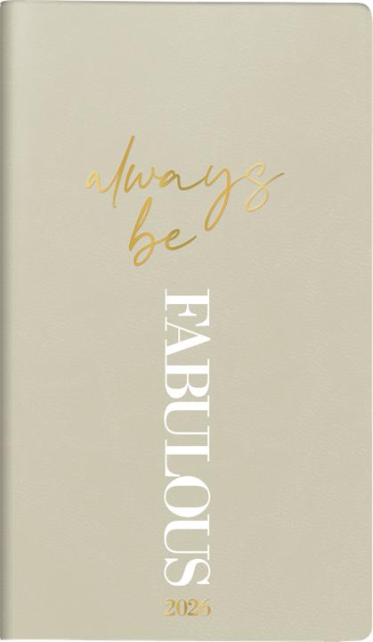 Actual product image Ridoide TA International 2026 701691503 1W/2S hellgrau ML 8.7x15.3cm (A6, 1 week / 2 pages)