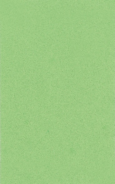 Actual product image Folia Foam rubber light green