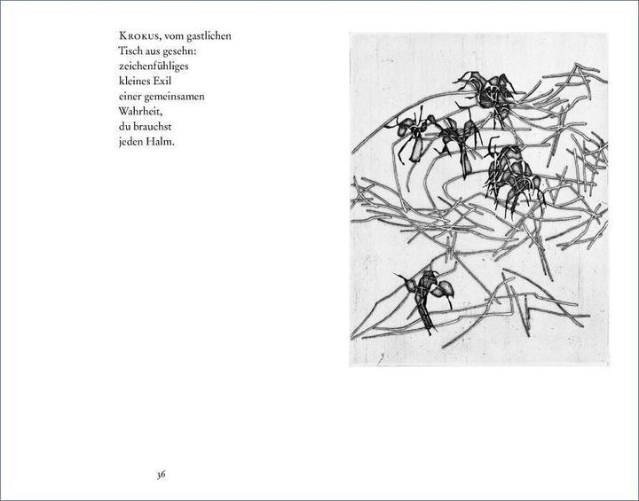 Produktbild Gedichte (Deutsch, Paul Celan, 2011)
