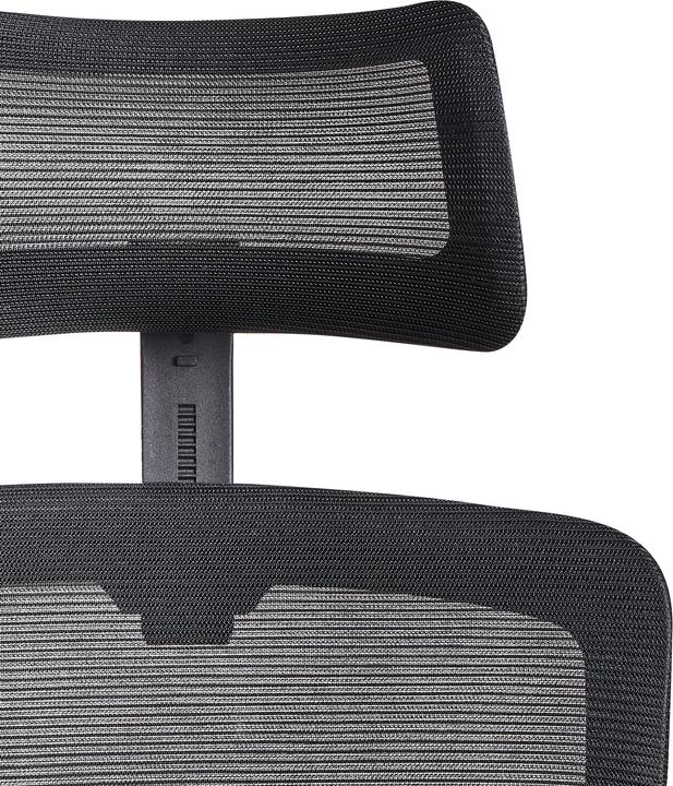 Immagine prodotto Beliani Monarch (35 - 45 cm)