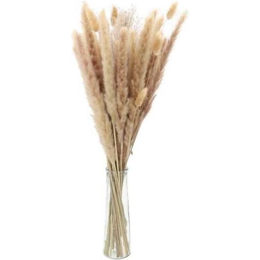 HBX, Vase, Glasvase mit Trockenblumenstrauss - ca. 8 x 25 cm (1 x)