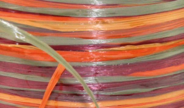 Produktbild Präsent Bast Multi (1x)