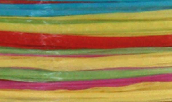 Produktbild Präsent Bast Multi (2x)