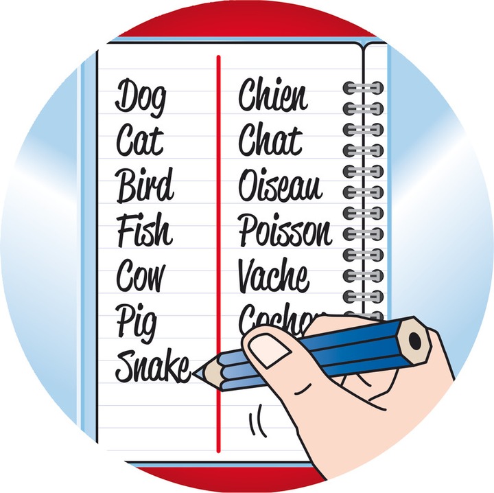 Actual product image Clairefontaine Vokabelheft Koverbook (A1, Lined)