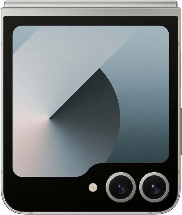 Actual product image Samsung DUPLIKAT Galaxy Z Flip6 (512 GB, Silver Shadow, 6.70", SIM + eSIM, 5G)