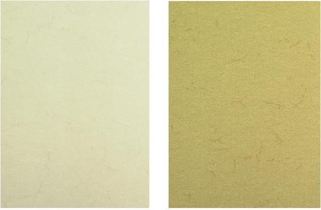Actual product image Folia Elephant skin paper (110 g/m², 1 x)