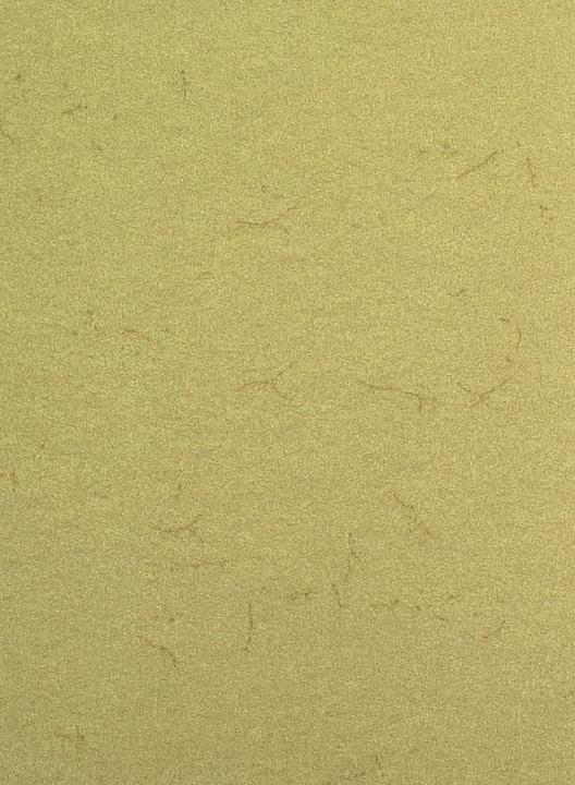 Actual product image Folia Elephant skin paper (110 g/m², 1 x)