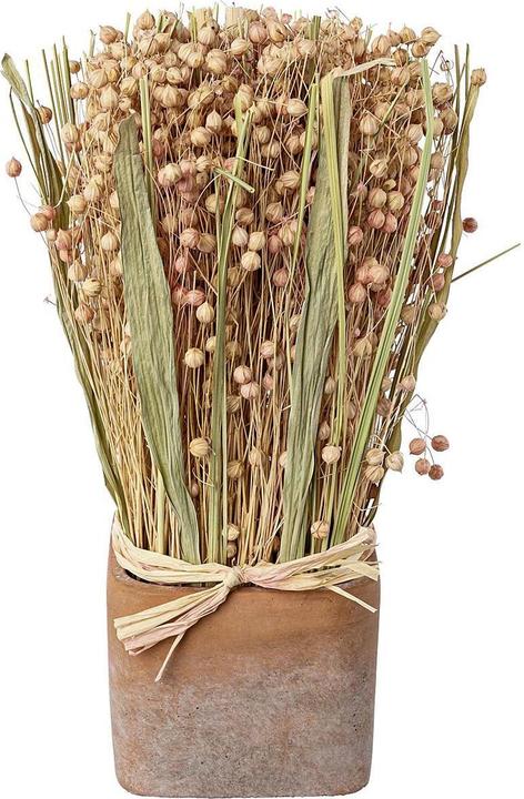 Produktbild Gasper Gras-Mix (Trockenblumen)