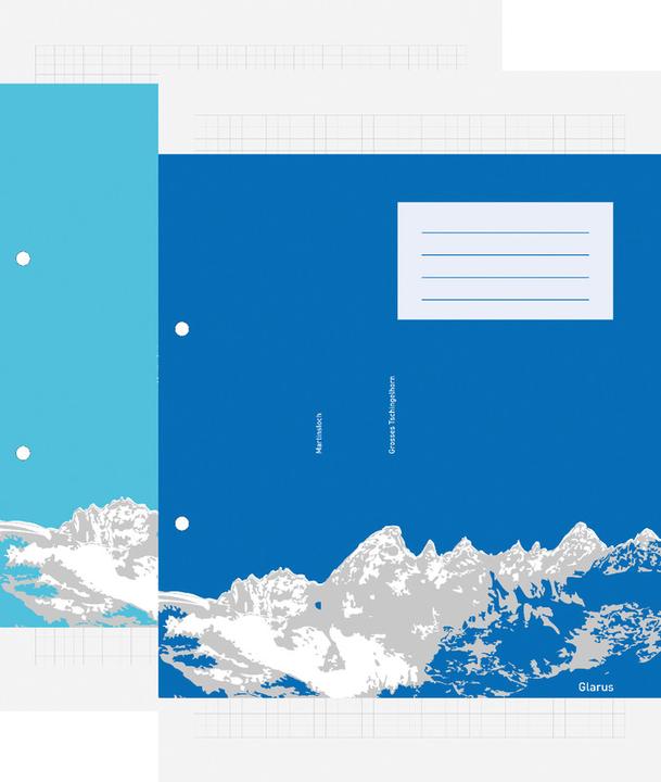 Actual product image Ingold-Biwa Ring binder inserts recycling (A4, Checked)