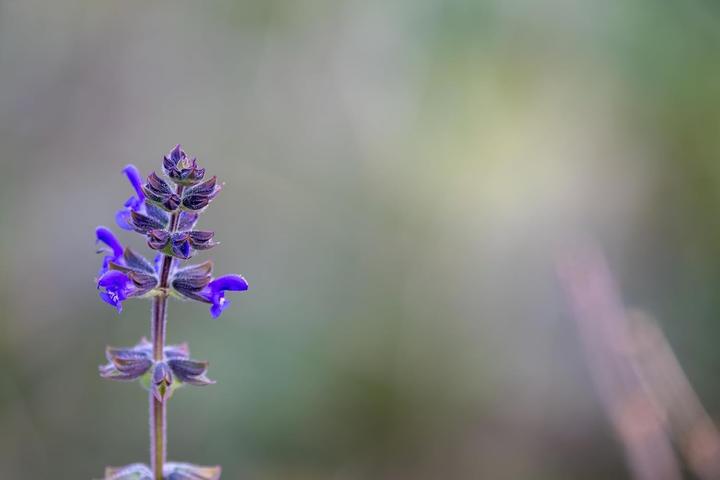 Immagine prodotto Tamron AF 150-500mm F/5-6.7 Di III VC VXD - (UE) (Nikon Z, Full frame)