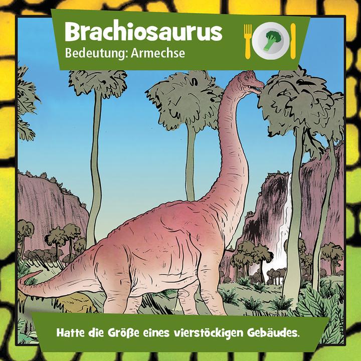 Actual product image Brainbox Memory game (German, 1 - 2 Players)