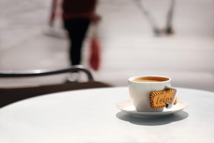 Actual product image Lotus Biscoff (1 pcs., 281 g)