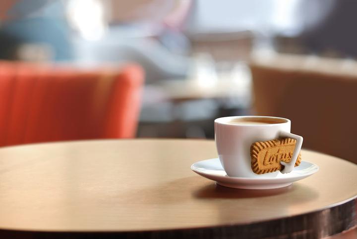 Actual product image Lotus Biscoff (1 pcs., 281 g)