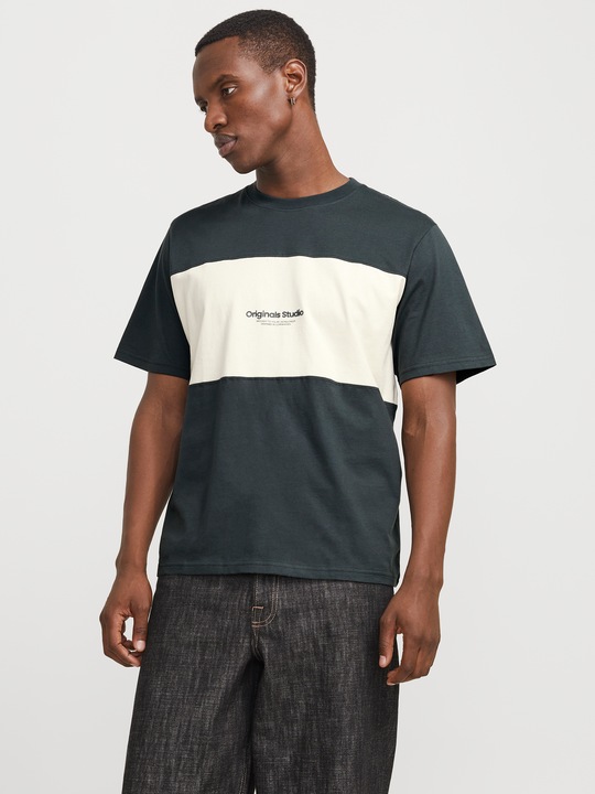 Produktbild Jack & Jones Jorvesterbro Block Tee Ss Crew Styd Aw24 (L)