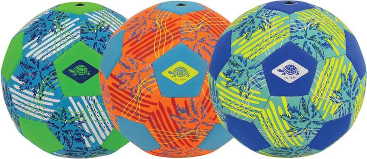 Schildkröt Beachsoccer