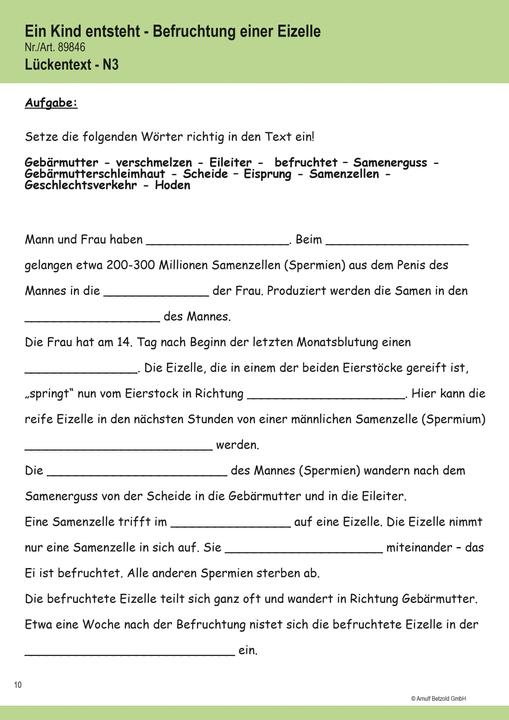 Produktbild Betzold Ein Kind entsteht