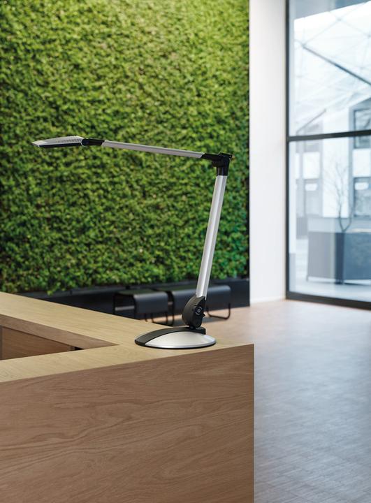 Produktbild Maul Mauloptimus (600 lm)