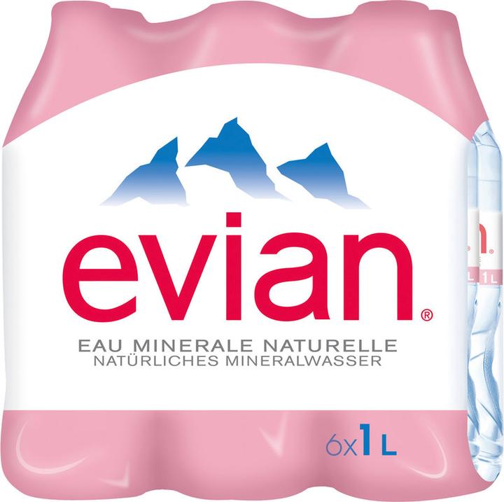 Actual product image Evian Mineral water PET (1 x 100 cl)