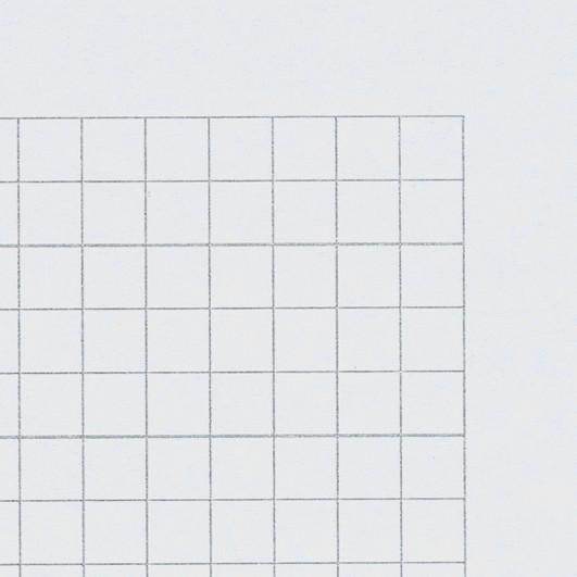 Produktbild Naturaline Schulheft FSC (E5, Kariert, Harter Einband)