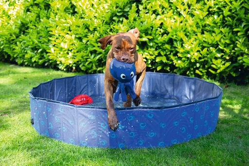 Actual product image Karlie Doggy