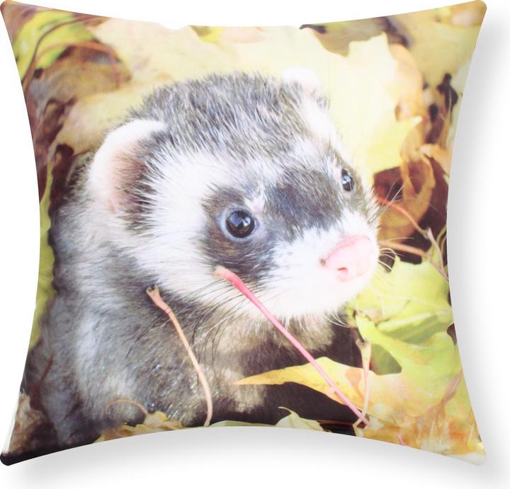 Image du produit Avizar 2 Stk. Kissenbezüge Frettchen (40 x 40 cm)