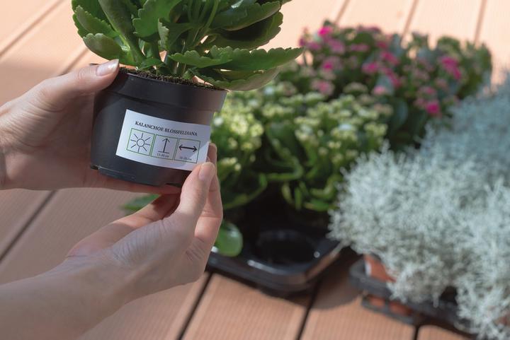 Actual product image Herma Weatherproof labels A4 removable