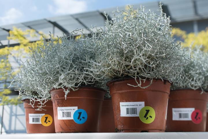 Actual product image Herma Weatherproof labels A4 removable