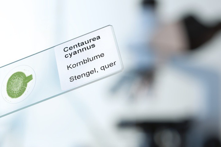 Immagine prodotto Herma Etichette resistenti alle intemperie A4
