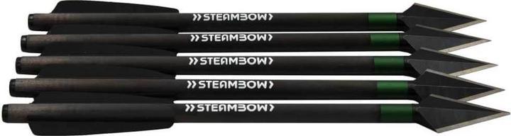 Actual product image Steambow AR series carbon war arrows light
