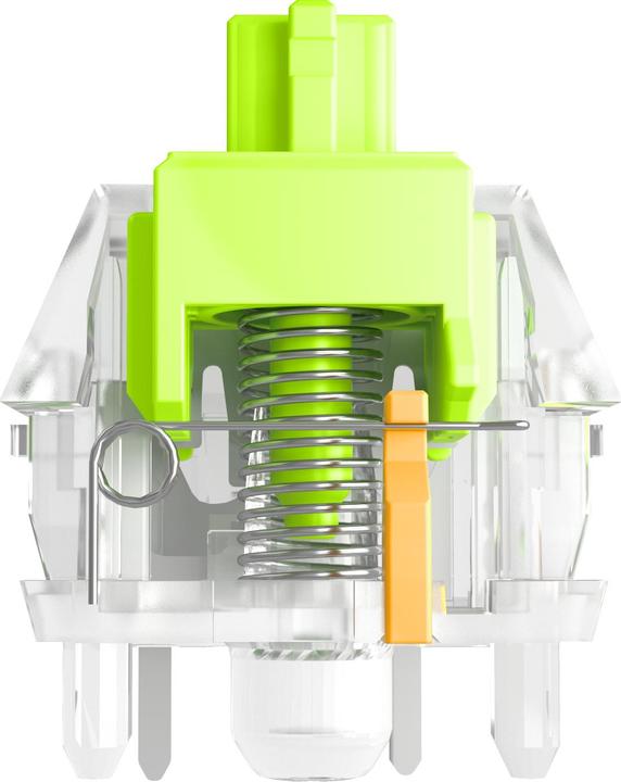 Actual product image Glorious Raptor Standard Switch, mechanical, 5-pin, clicky, MX-Stem, 55g - lubed, 36 pieces