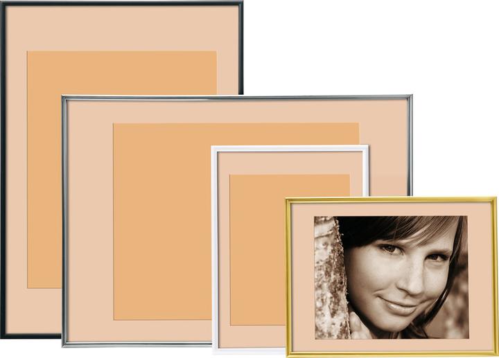 Actual product image Dufco clip-on picture frame (10 x 15 cm)