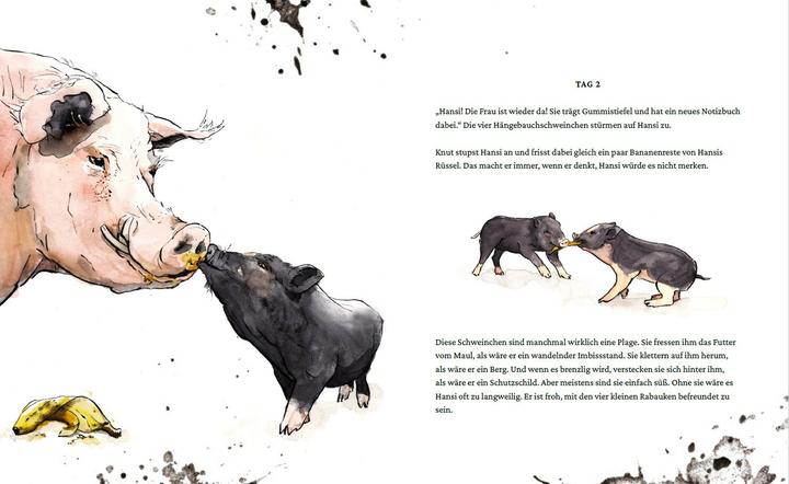 Produktbild Ein Buch für Hansi (Deutsch, Sandra Niermeyer, Linda Mieleck, 2022)