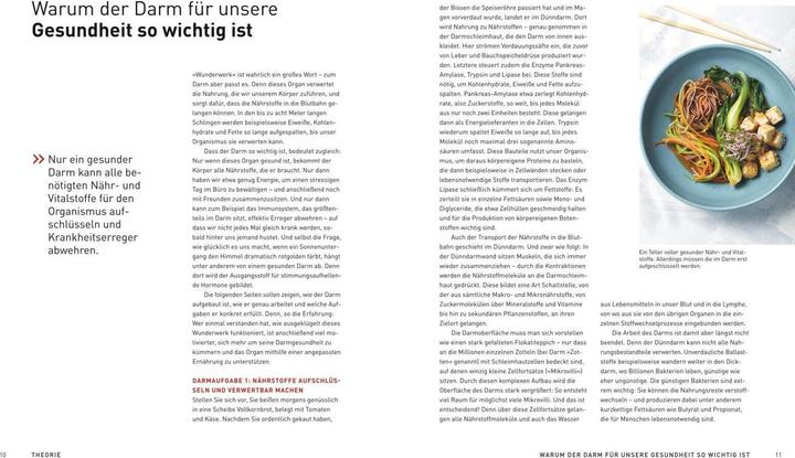 Actual product image Medical Cuisine - Gesunder Darm (German, Johann Lafer, Matthias Riedl, 2024)